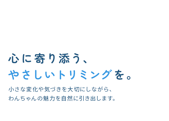 心に寄り添う、やさしいトリミングを。小さな変化や気づきを大切にしながら、わんちゃんの魅力を自然に引き出します。